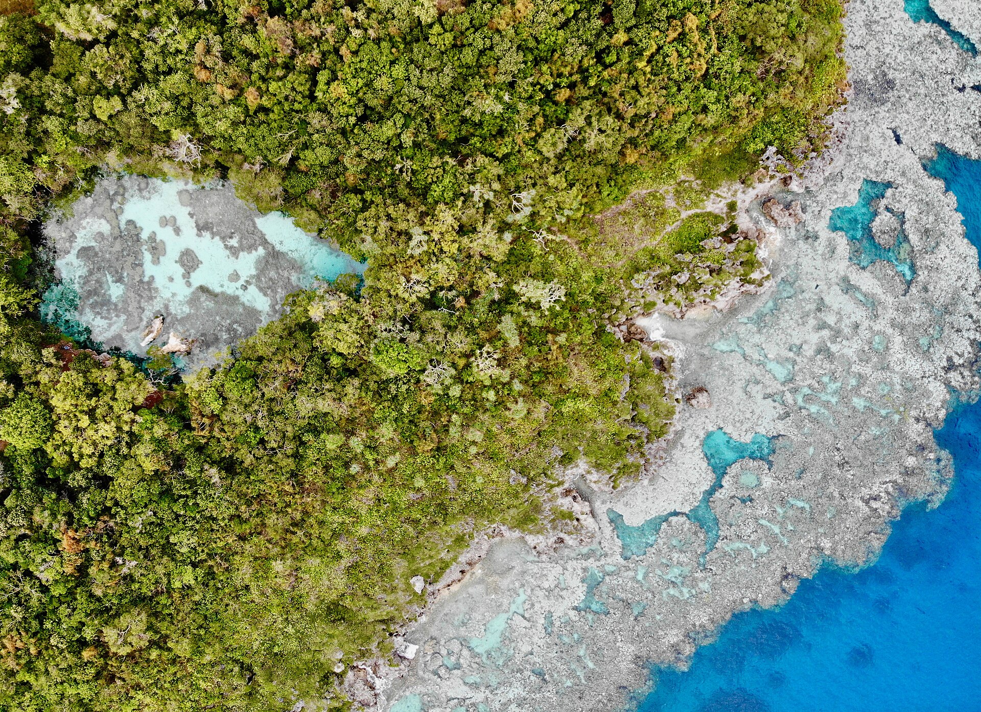 Aquarium naturel de Maré Lagon de Calédonie dans les iles Loyauté.