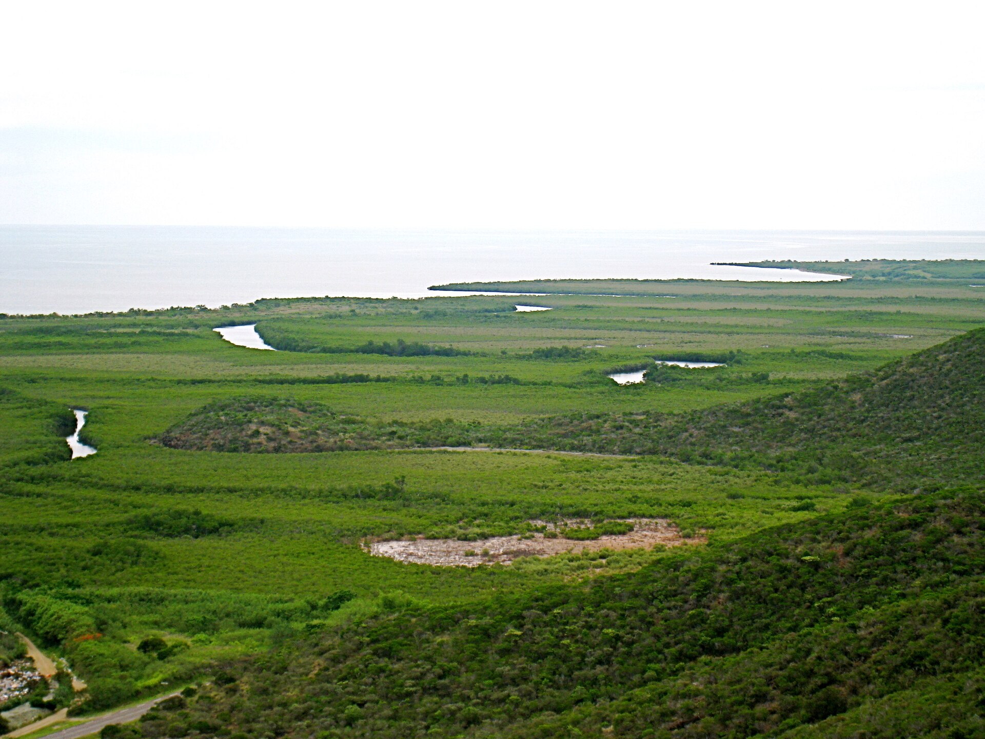 Voh - Mangrove, Nouvelle-Calédonie